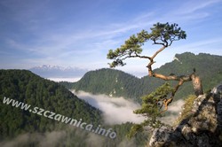 Szczawnica Pieniny